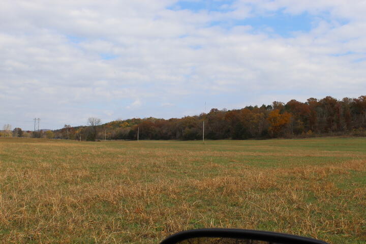 Photo 3 - Land for sale – Tbd  County Road 831   Gainesville, MO
