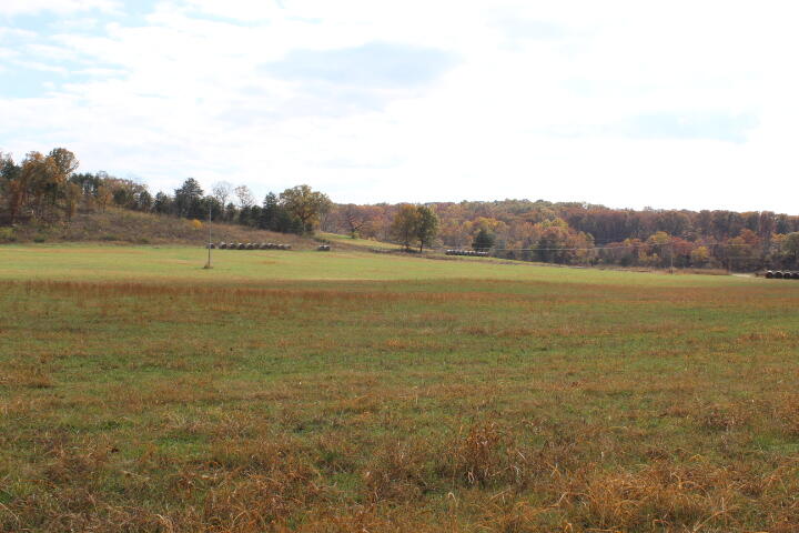 Photo 28 - Land for sale – Tbd  County Road 831   Gainesville, MO
