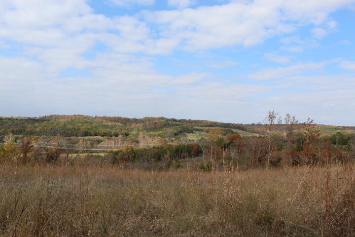 Photo 15 - Land for sale – Tbd  County Road 831   Gainesville, MO