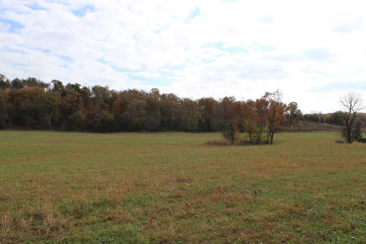 Photo 25 - Land for sale – Tbd  County Road 831   Gainesville, MO