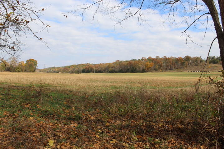 Photo 36 - Land for sale – Tbd  County Road 831   Gainesville, MO