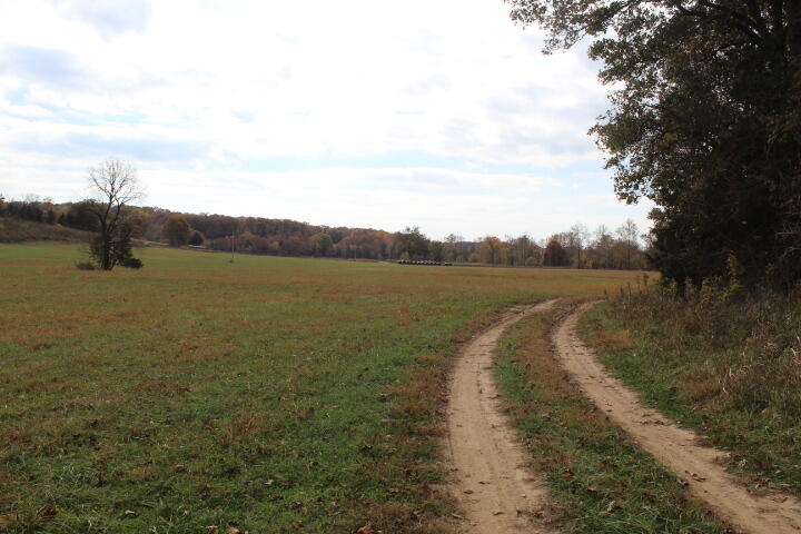 Photo 26 - Land for sale – Tbd  County Road 831   Gainesville, MO