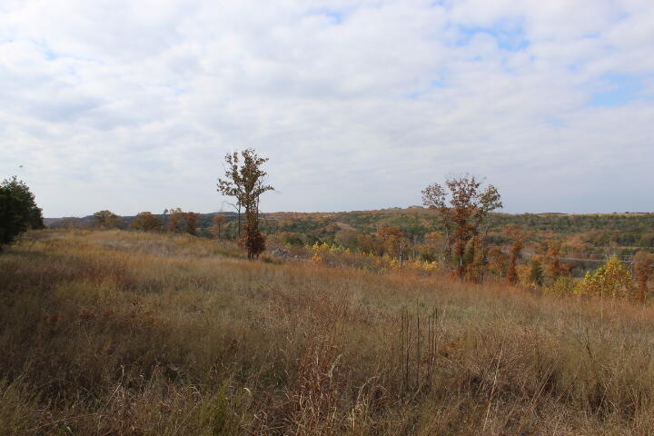 Photo 17 - Land for sale – Tbd  County Road 831   Gainesville, MO