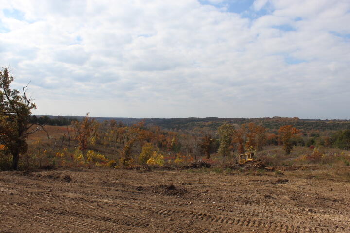 Photo 13 - Land for sale – Tbd  County Road 831   Gainesville, MO