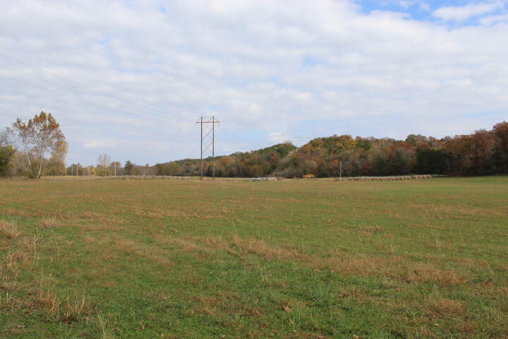Photo 22 - Land for sale – Tbd  County Road 831   Gainesville, MO