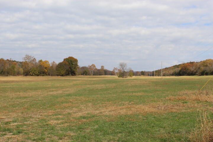 Photo 33 - Land for sale – Tbd  County Road 831   Gainesville, MO