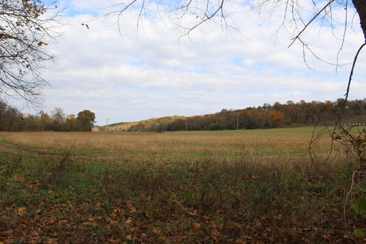 Photo 37 - Land for sale – Tbd  County Road 831   Gainesville, MO