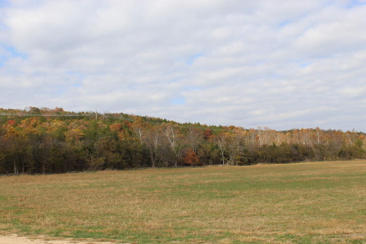 Photo 35 - Land for sale – Tbd  County Road 831   Gainesville, MO