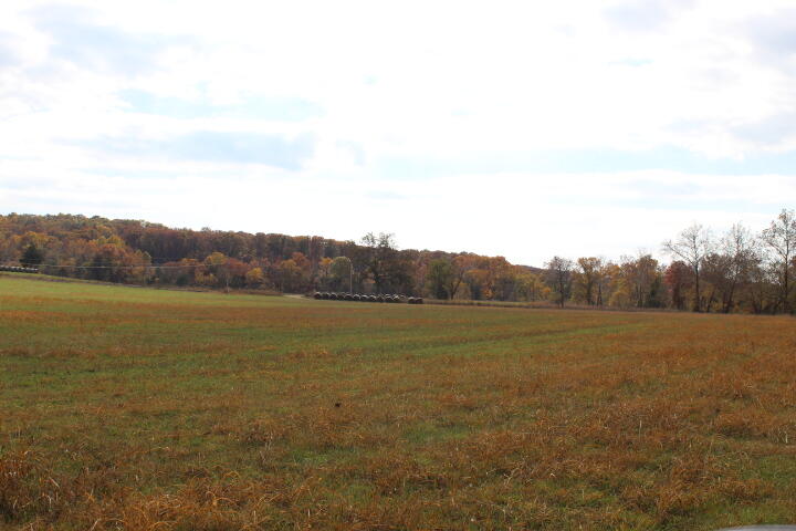 Photo 30 - Land for sale – Tbd  County Road 831   Gainesville, MO