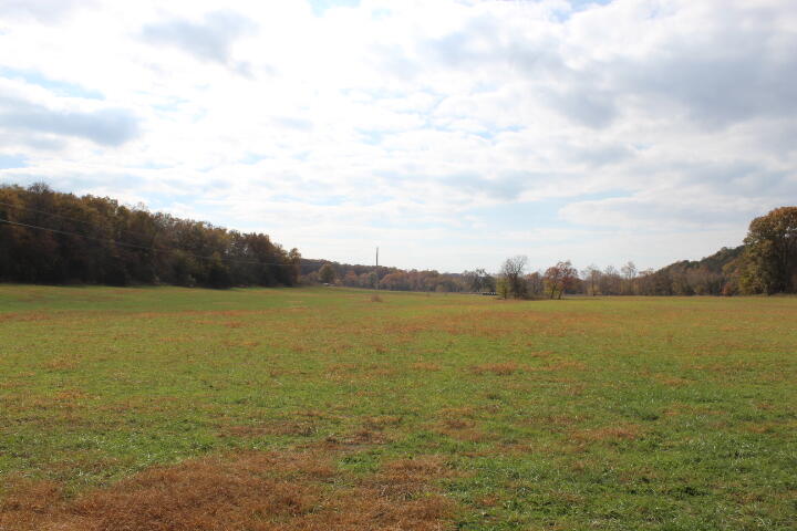 Photo 19 - Land for sale – Tbd  County Road 831   Gainesville, MO
