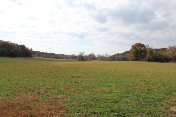 Photo 21 - Land for sale – Tbd  County Road 831   Gainesville, MO