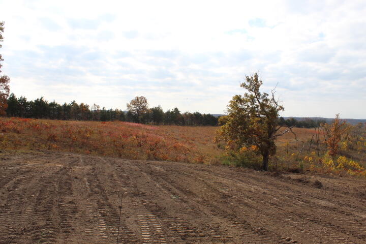 Photo 11 - Land for sale – Tbd  County Road 831   Gainesville, MO