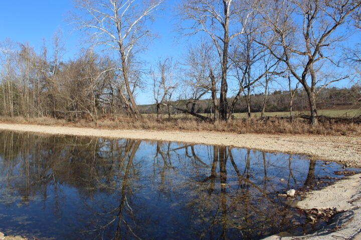Photo 39 - Land for sale – Tbd  County Road 831   Gainesville, MO