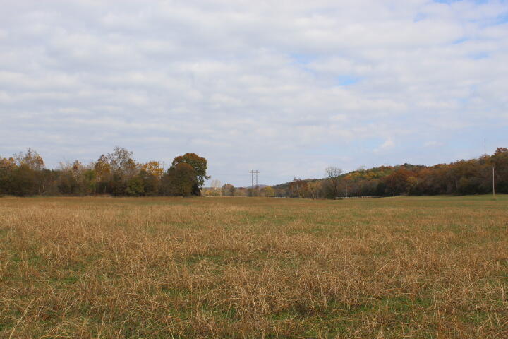 Photo 31 - Land for sale – Tbd  County Road 831   Gainesville, MO