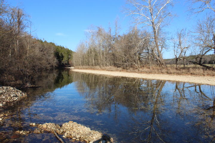 Photo 2 - Land for sale – Tbd  County Road 831   Gainesville, MO