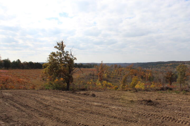 Photo 12 - Land for sale – Tbd  County Road 831   Gainesville, MO