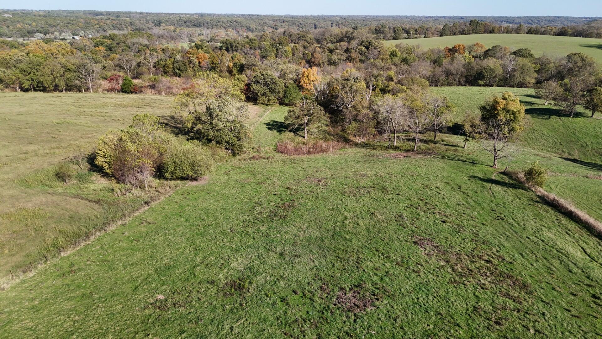 Photo 54 - Farm for sale – 296  316 State Highway  Clever, MO
