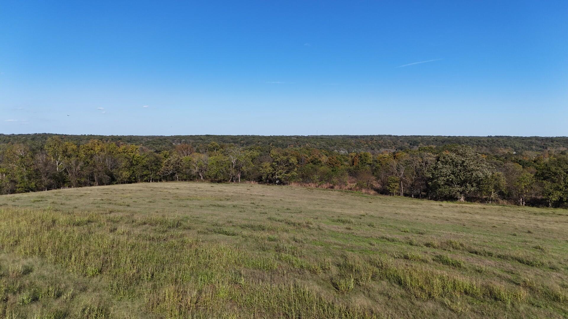 Photo 41 - Farm for sale – 296  316 State Highway  Clever, MO