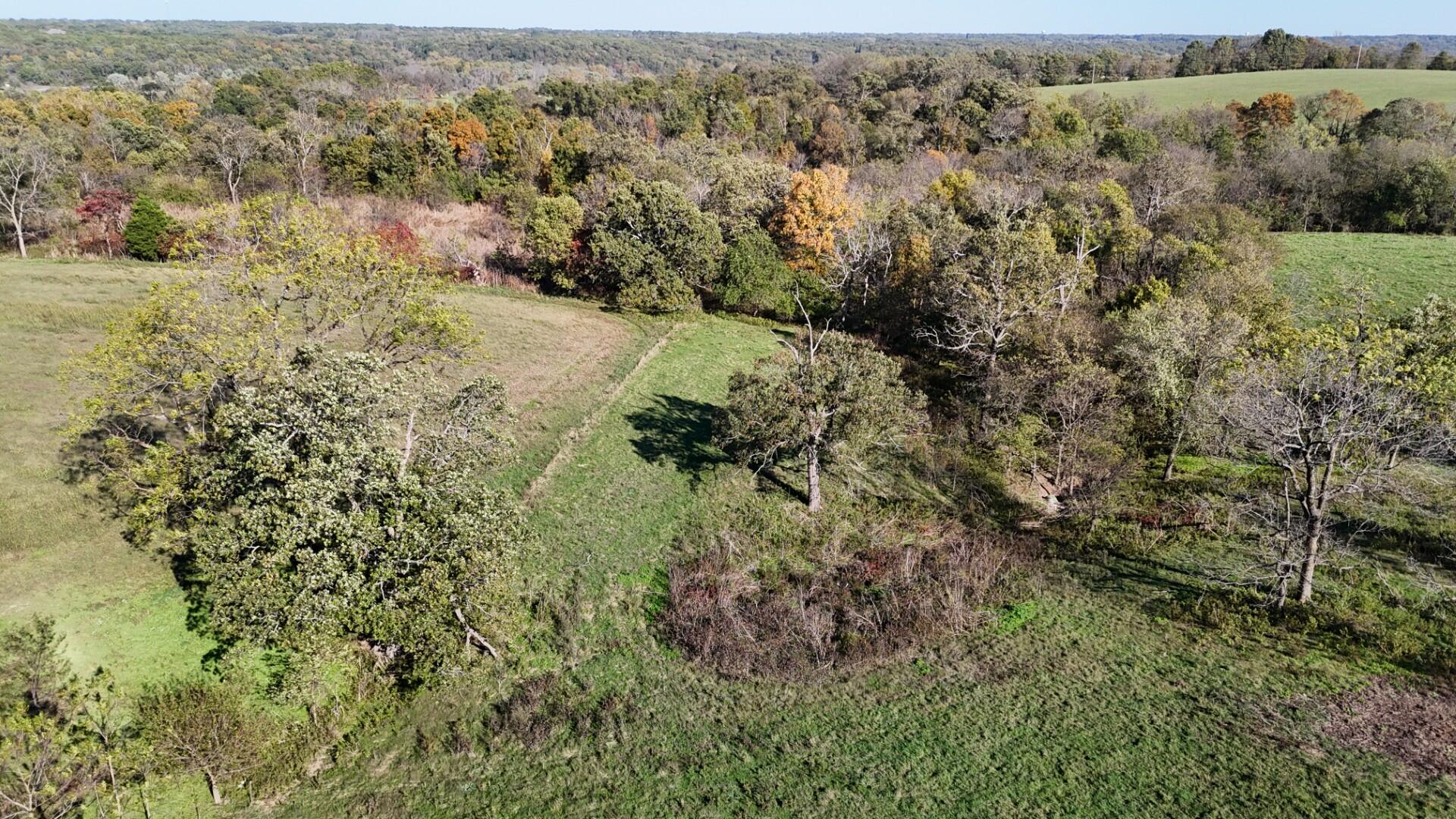 Photo 55 - Farm for sale – 296  316 State Highway  Clever, MO
