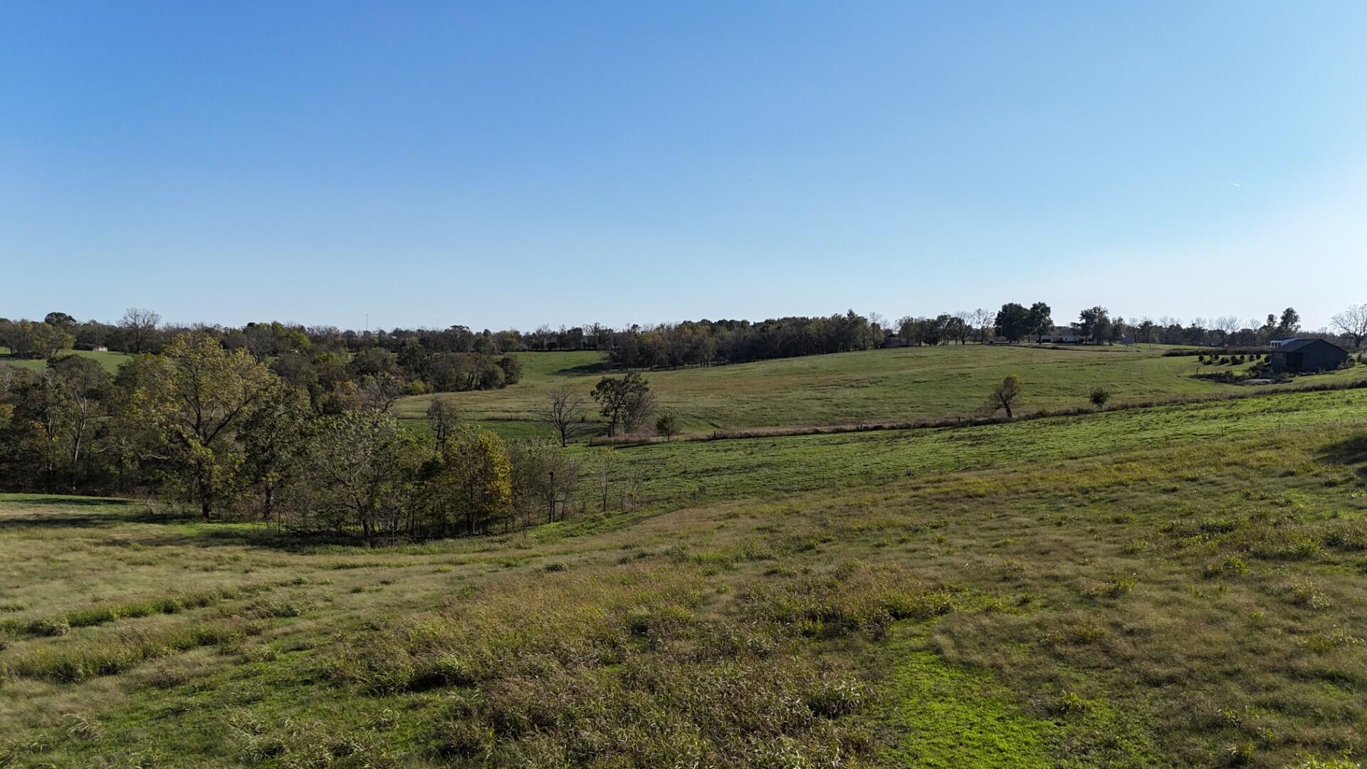 Photo 43 - Farm for sale – 296  316 State Highway  Clever, MO