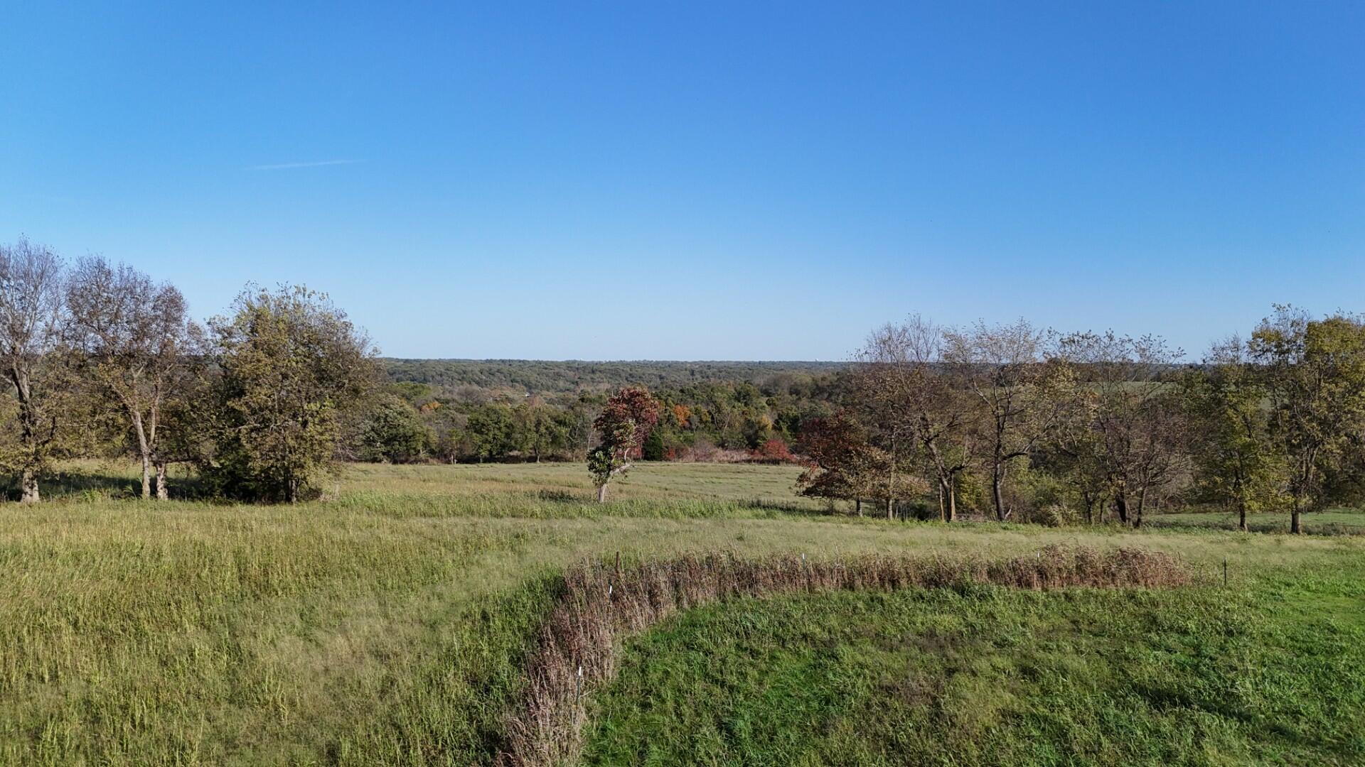 Photo 40 - Farm for sale – 296  316 State Highway  Clever, MO