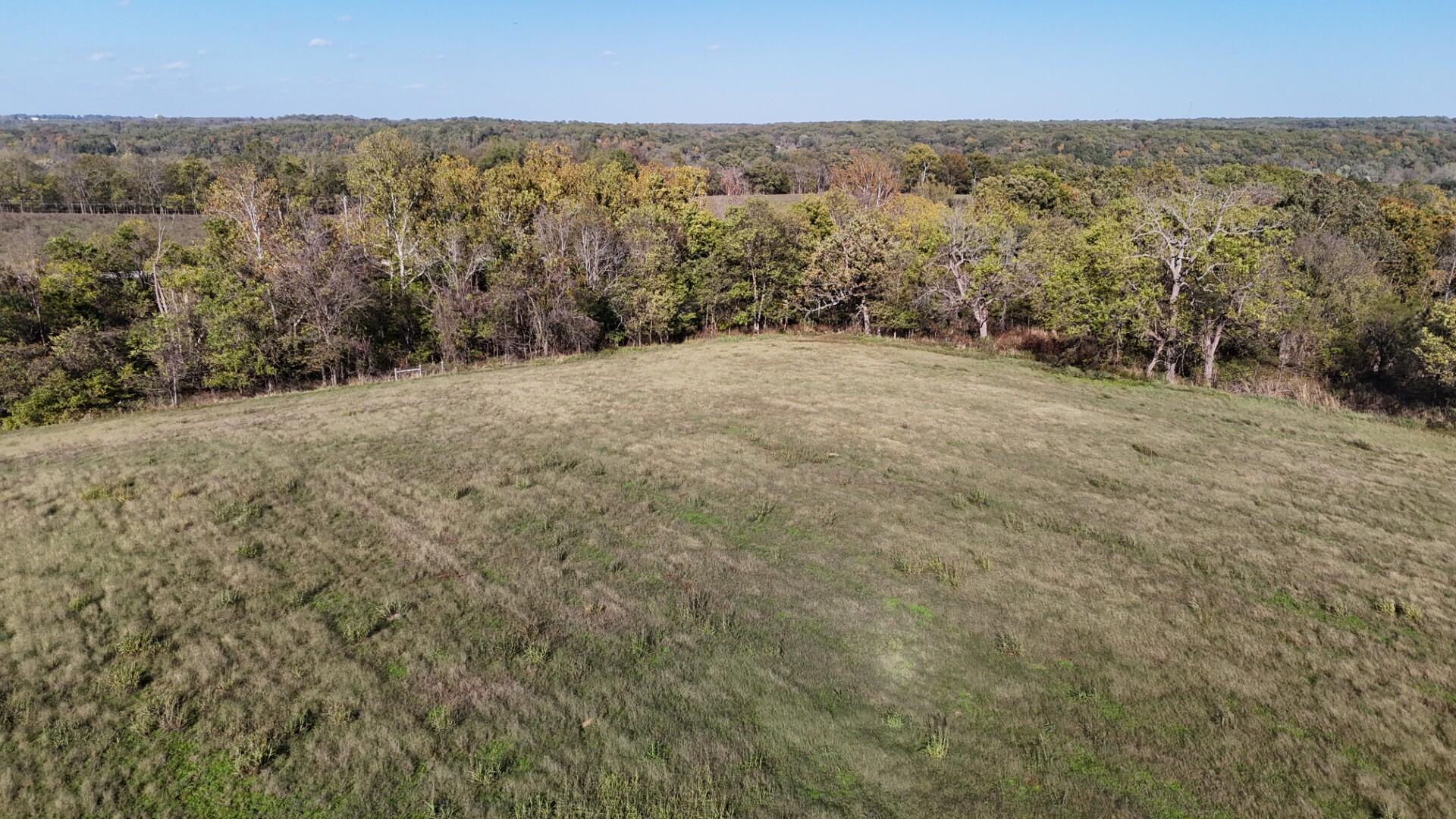 Photo 47 - Farm for sale – 296  316 State Highway  Clever, MO