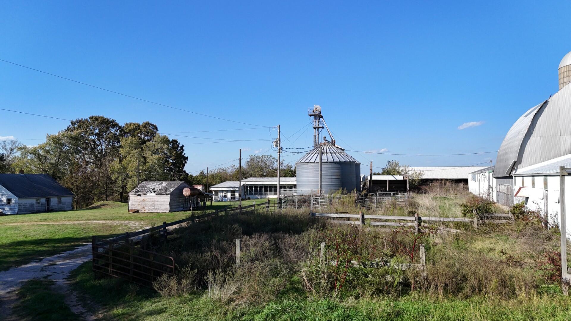 Photo 33 - Farm for sale – 296  316 State Highway  Clever, MO