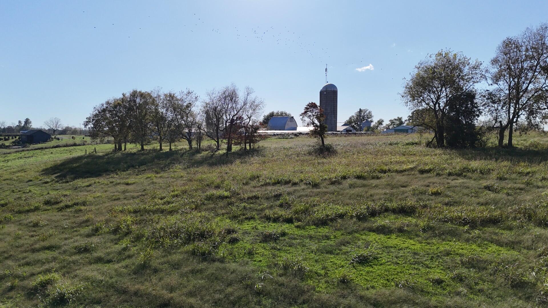 Photo 44 - Farm for sale – 296  316 State Highway  Clever, MO