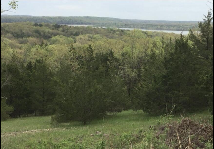 Photo 9 - Residential for sale – 22765  County Road 203   Wheatland, MO