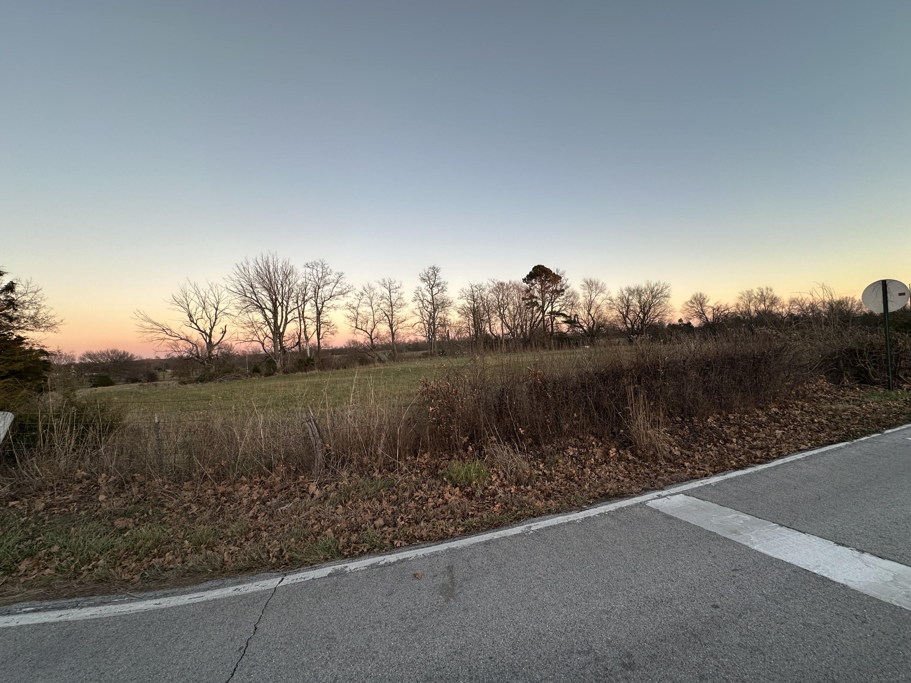 Photo 41 - Land for sale – 6684 E State Highway Oo   Strafford, MO