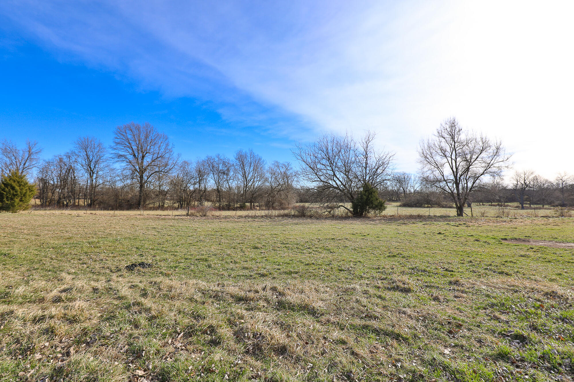 Photo 13 - Land for sale – 6684 E State Highway Oo   Strafford, MO
