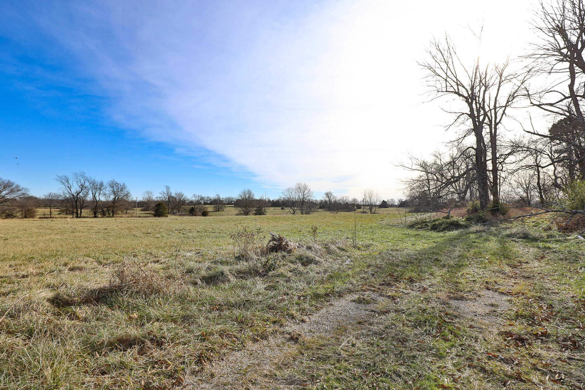 Photo 14 - Land for sale – 6684 E State Highway Oo   Strafford, MO