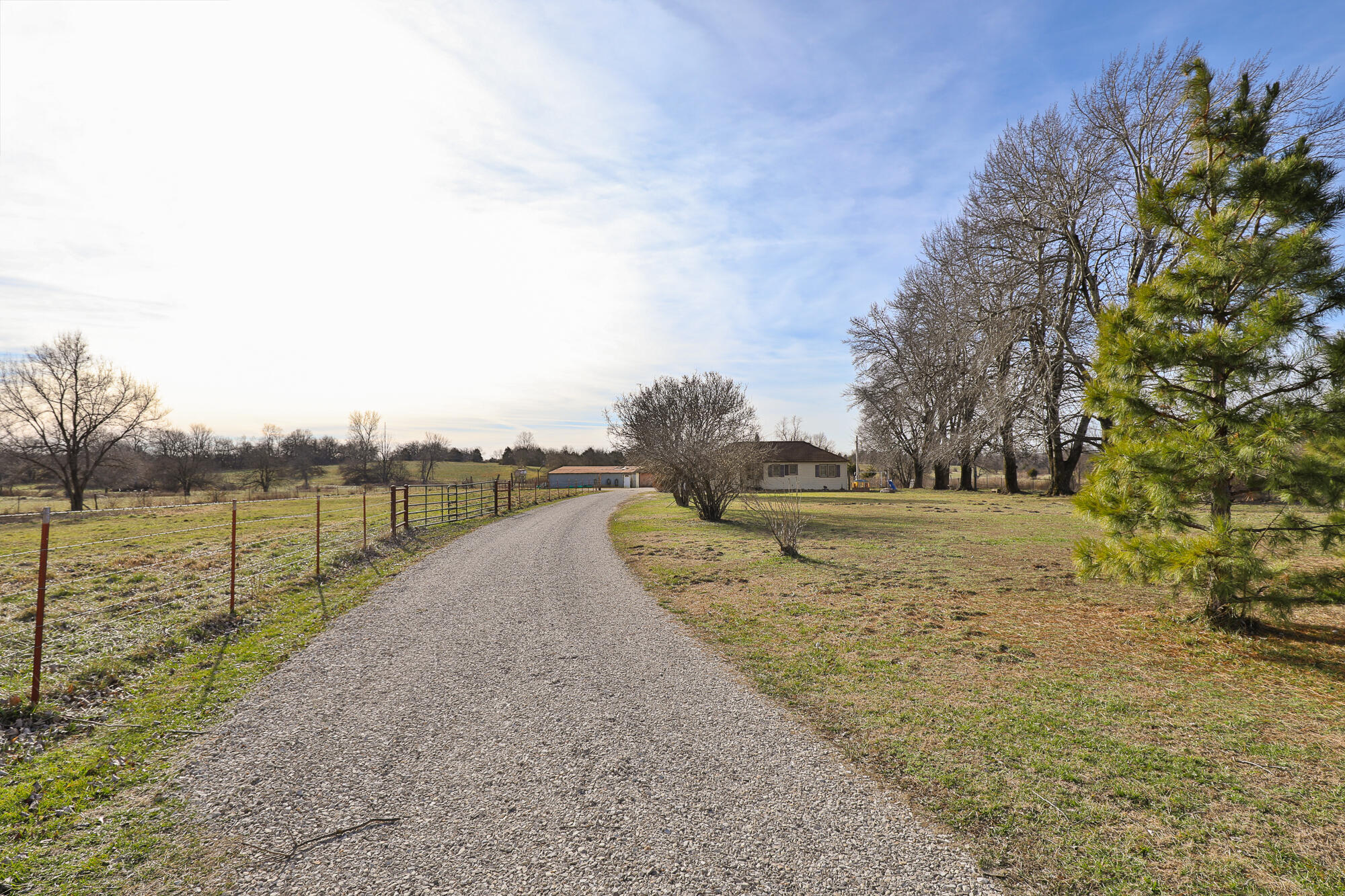 Photo 4 - Land for sale – 6684 E State Highway Oo   Strafford, MO
