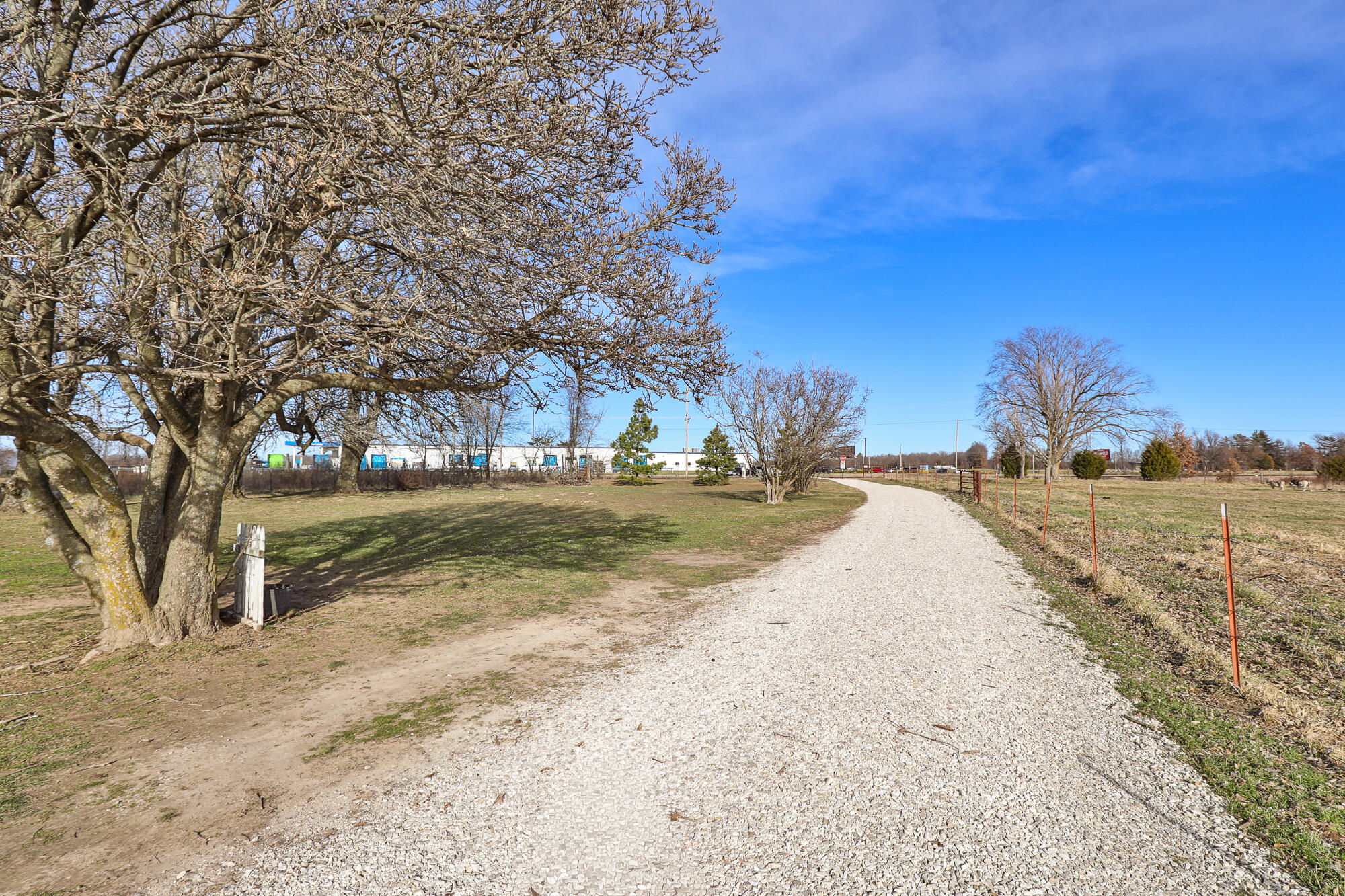 Photo 10 - Land for sale – 6684 E State Highway Oo   Strafford, MO