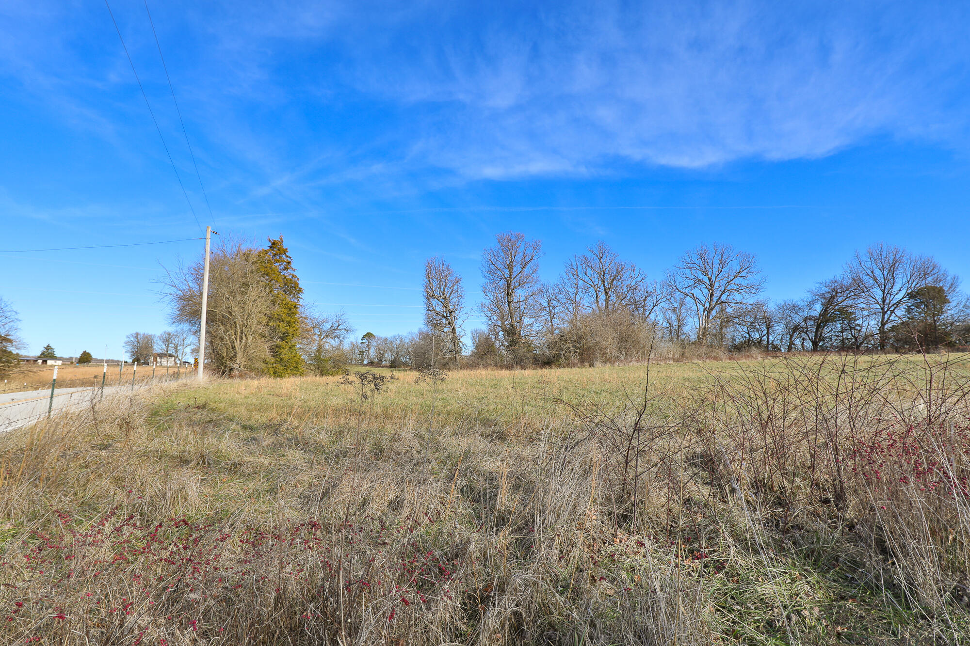 Photo 15 - Land for sale – 6684 E State Highway Oo   Strafford, MO
