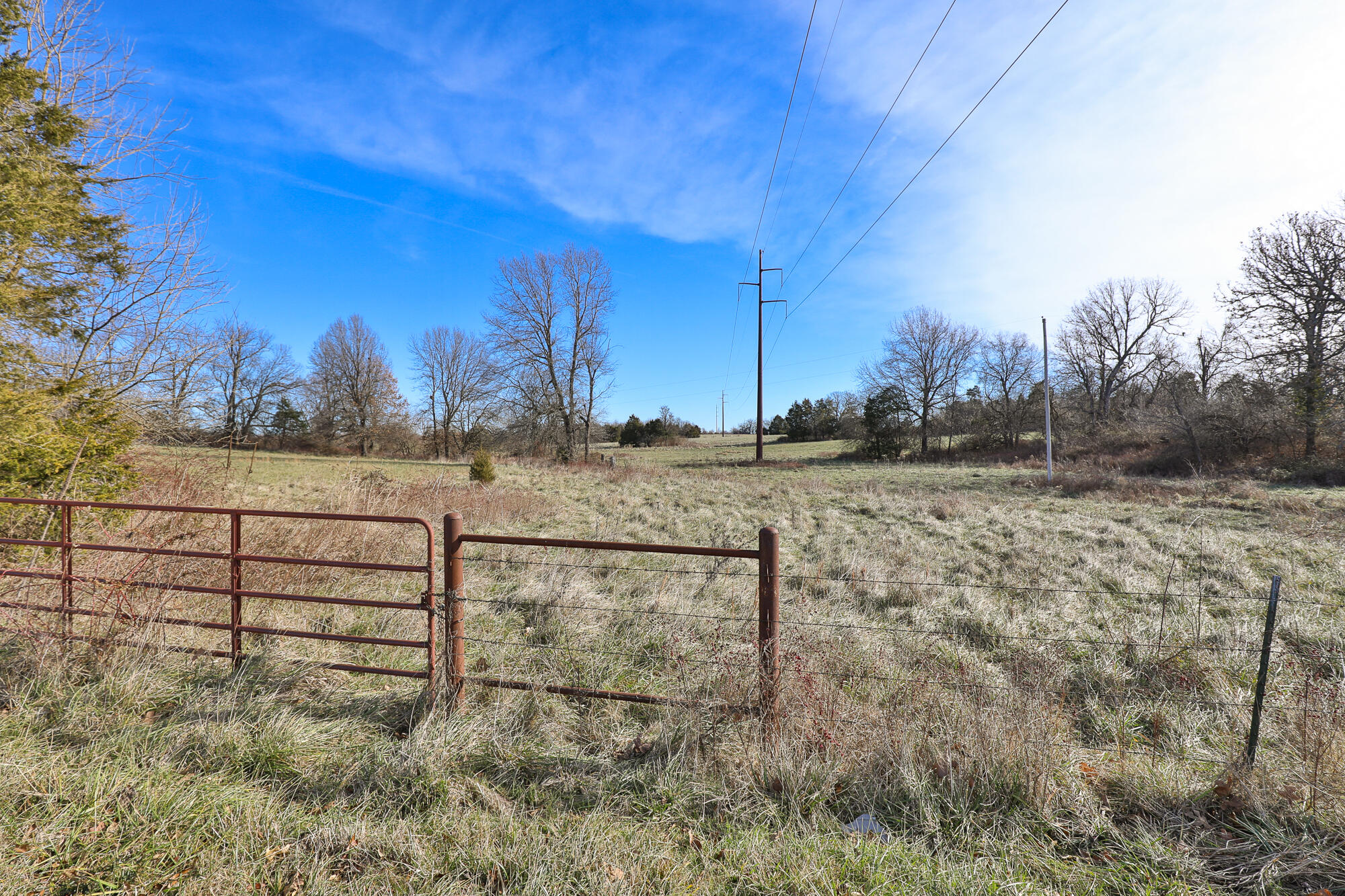 Photo 17 - Land for sale – 6684 E State Highway Oo   Strafford, MO