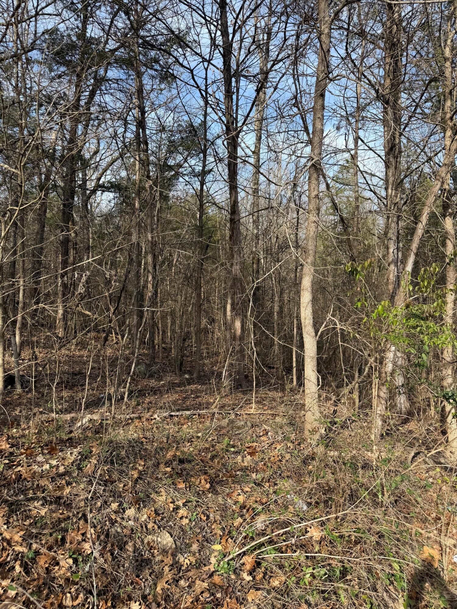 Land for sale – 000  Bluff Road  Merriam Woods, MO