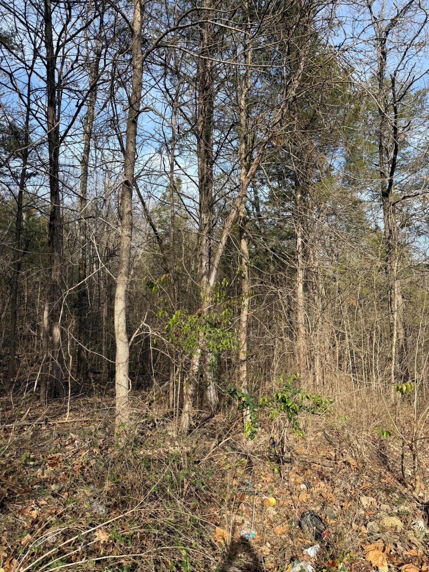 Photo 2 - Land for sale – 000  Bluff Road  Merriam Woods, MO