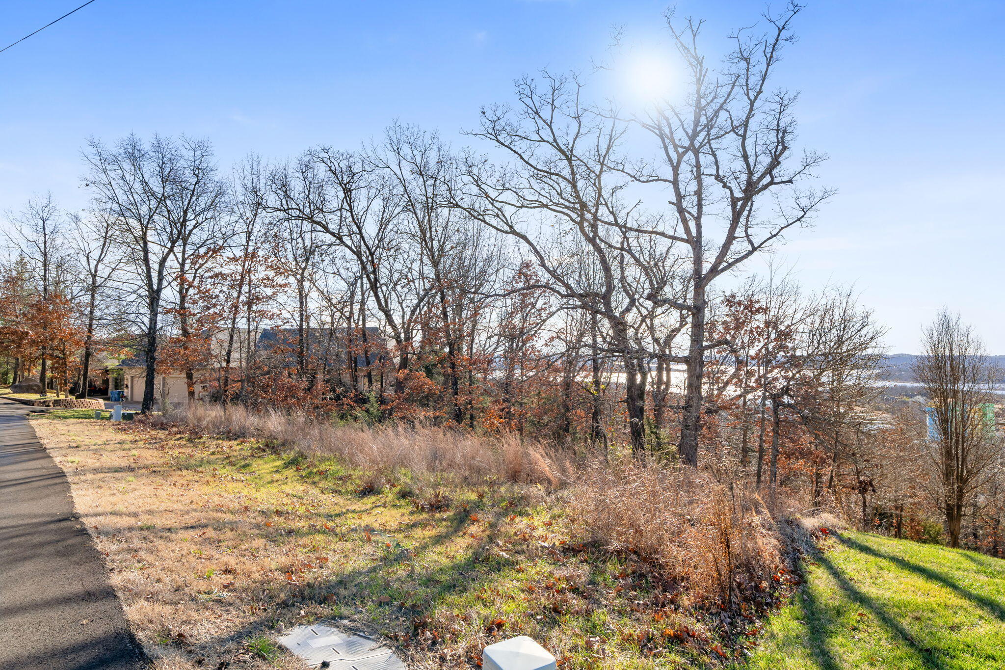 Photo 8 - Land for sale – Lot 6  Gregory Lane  Branson, MO