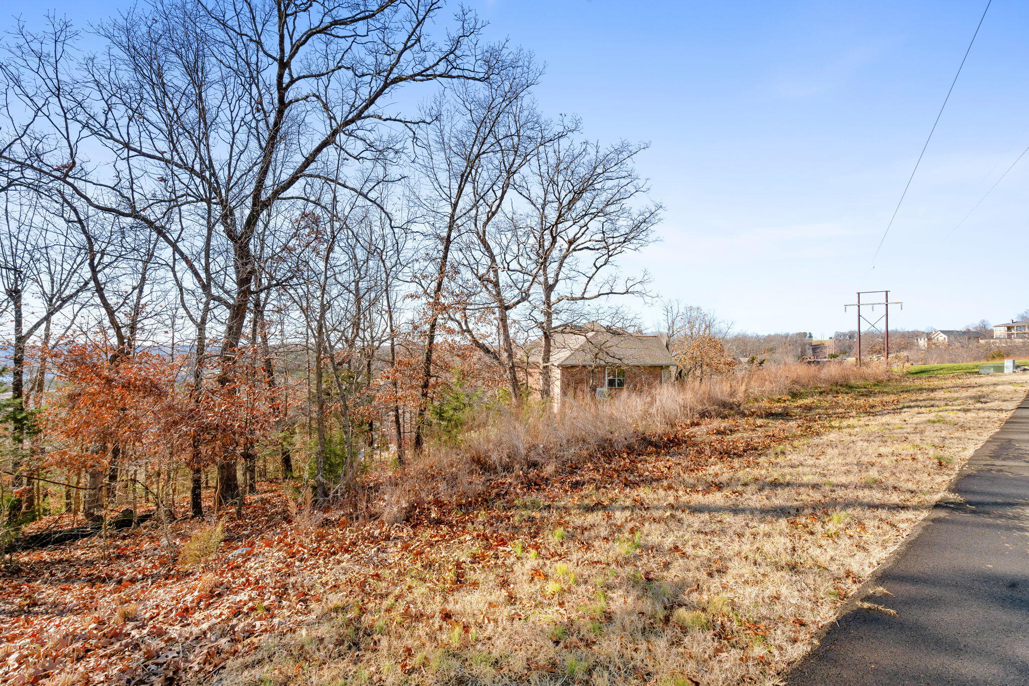Photo 9 - Land for sale – Lot 6  Gregory Lane  Branson, MO