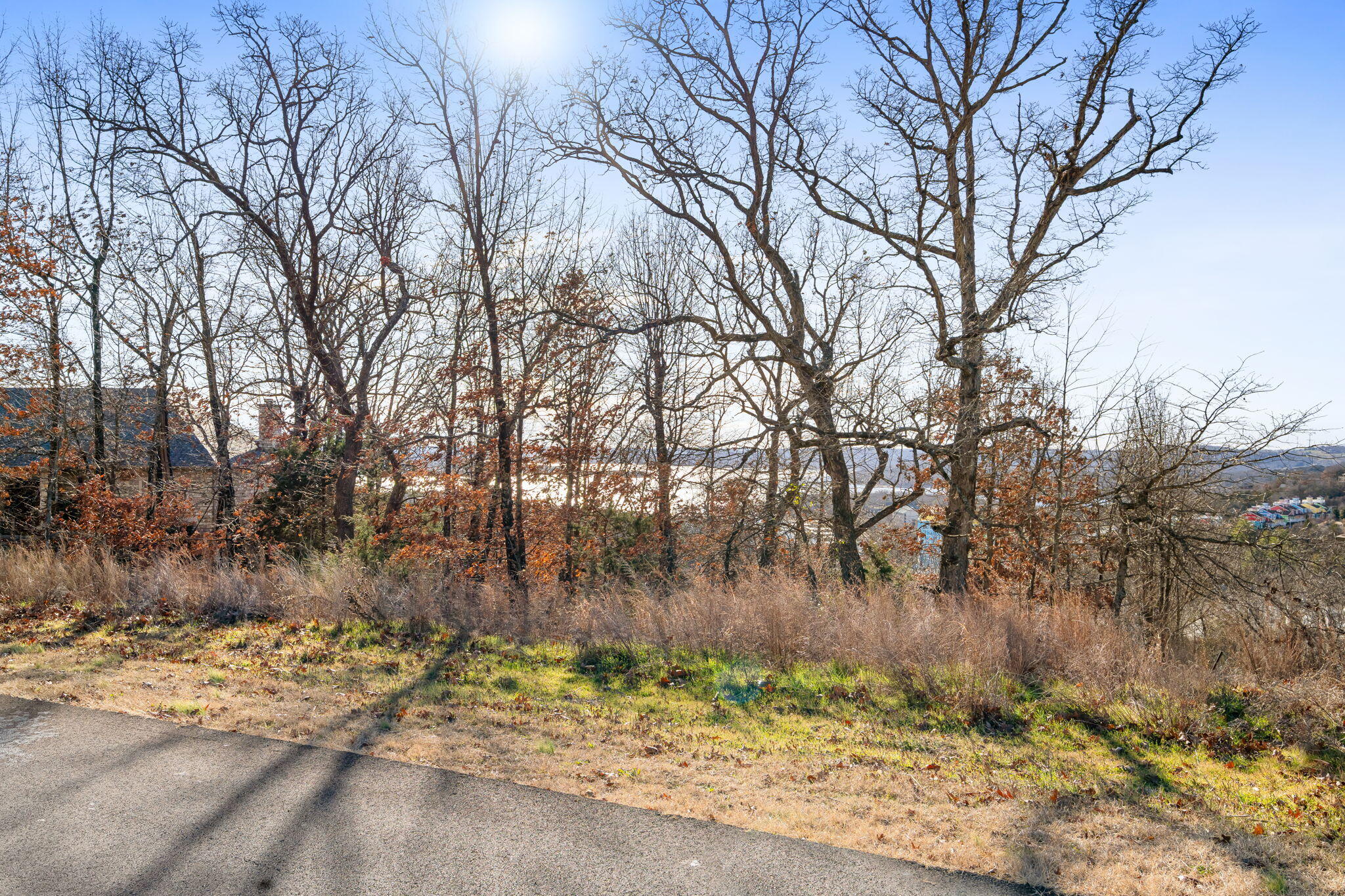 Photo 4 - Land for sale – Lot 6  Gregory Lane  Branson, MO