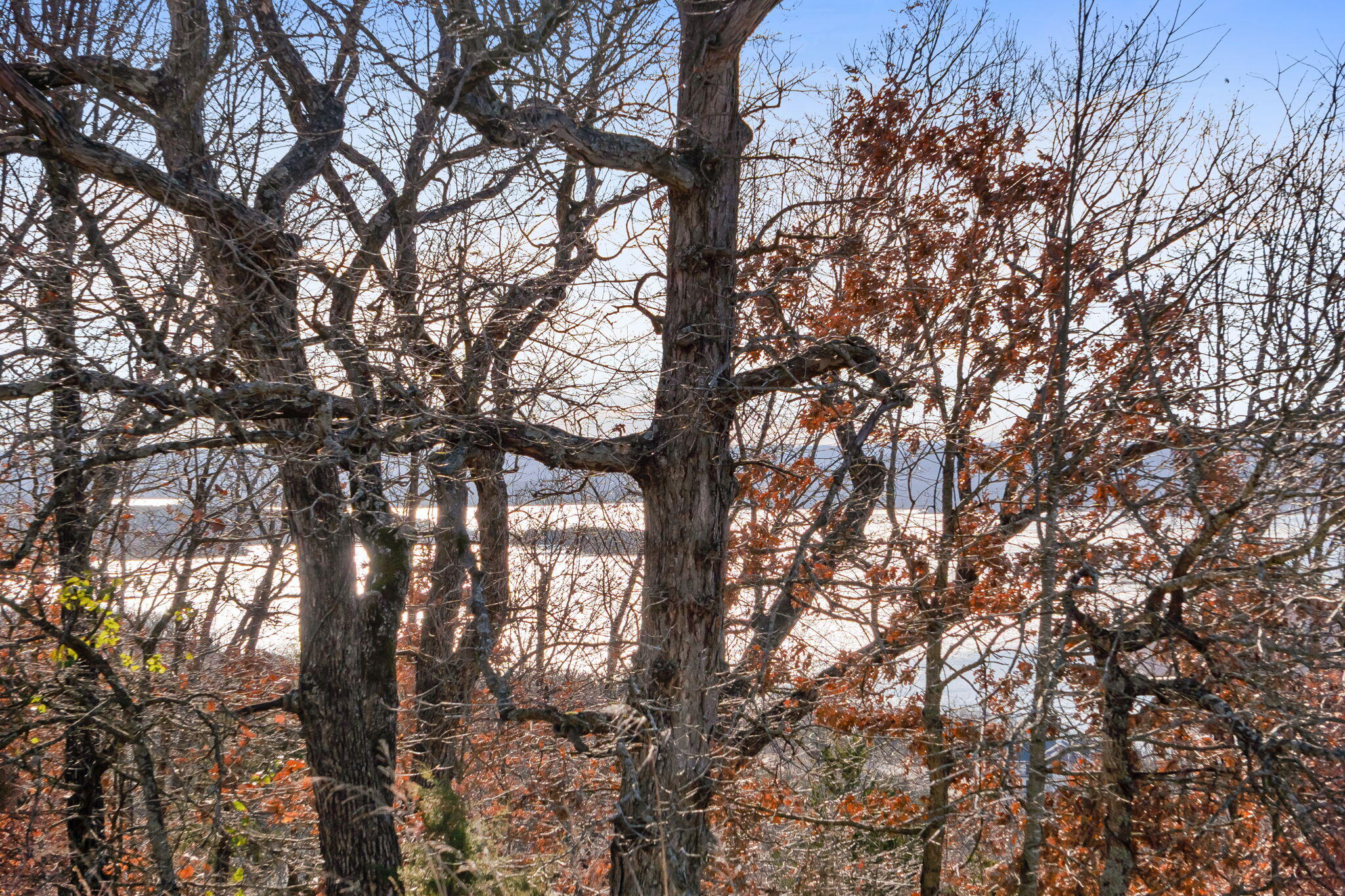Photo 2 - Land for sale – Lot 6  Gregory Lane  Branson, MO