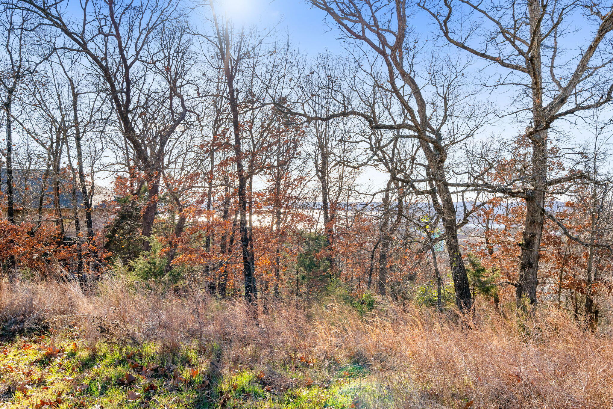 Photo 11 - Land for sale – Lot 6  Gregory Lane  Branson, MO