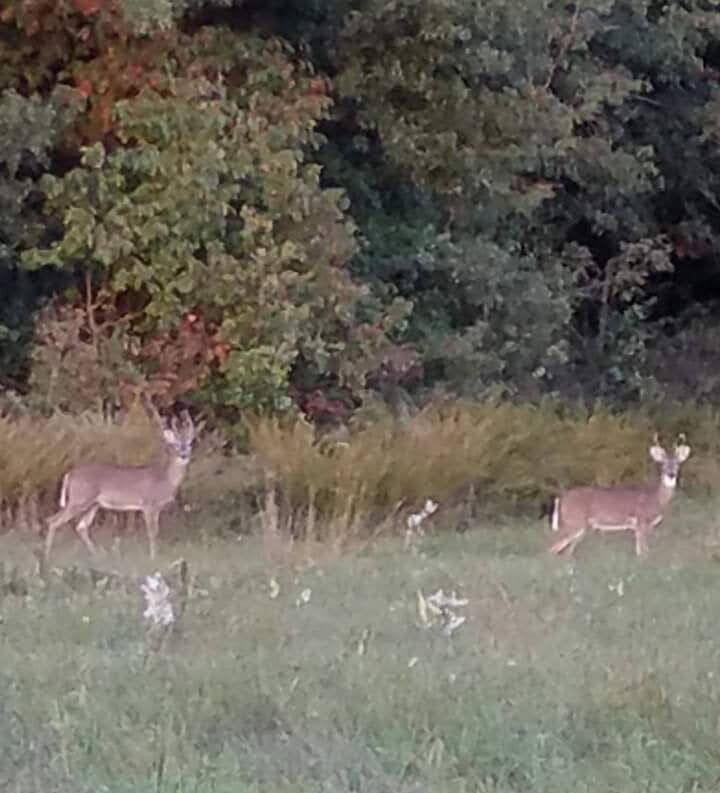 Photo 29 - Land for sale – 22805  Hwy Cc   Warsaw, MO
