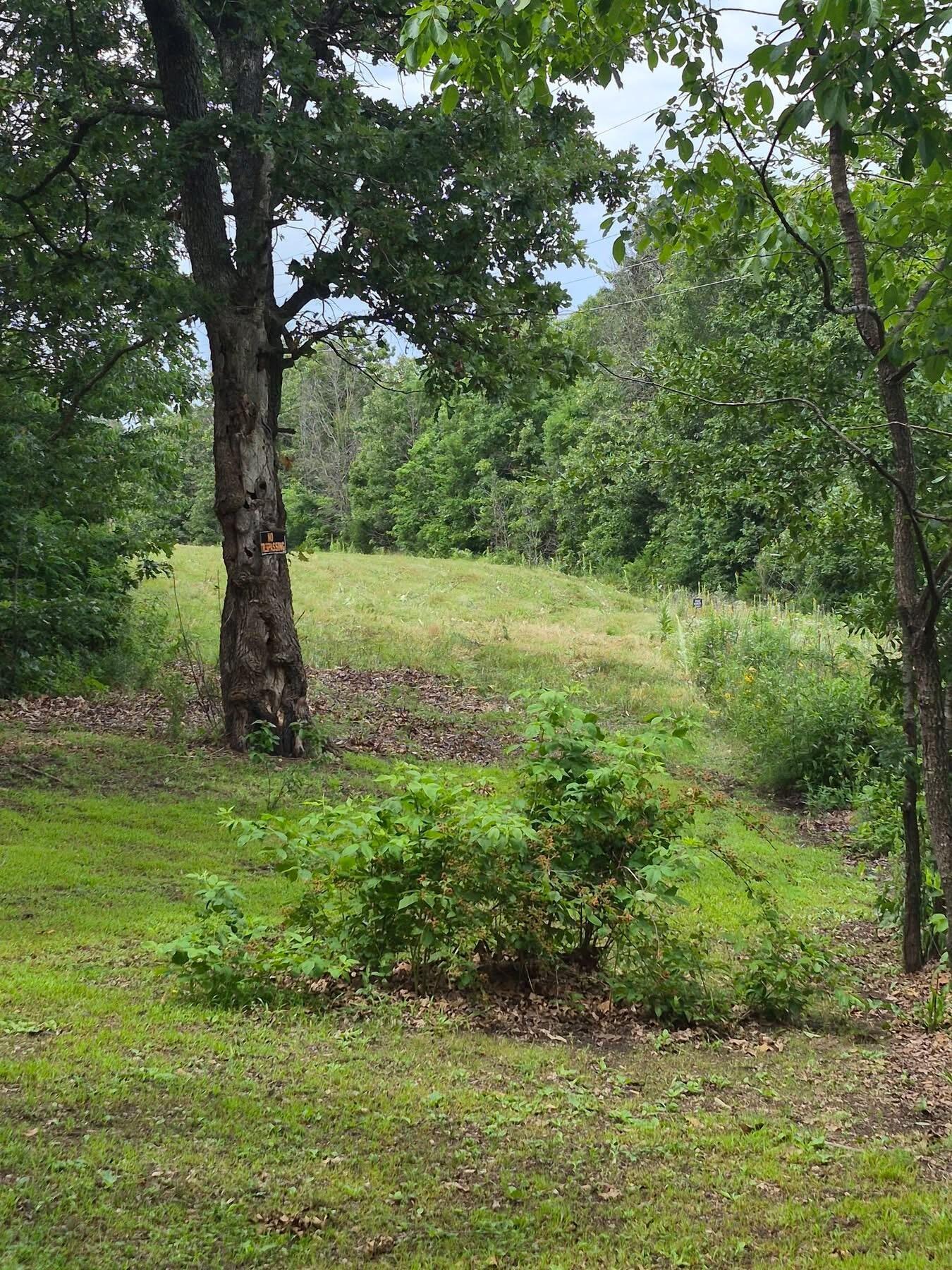 Photo 31 - Land for sale – 22805  Hwy Cc   Warsaw, MO