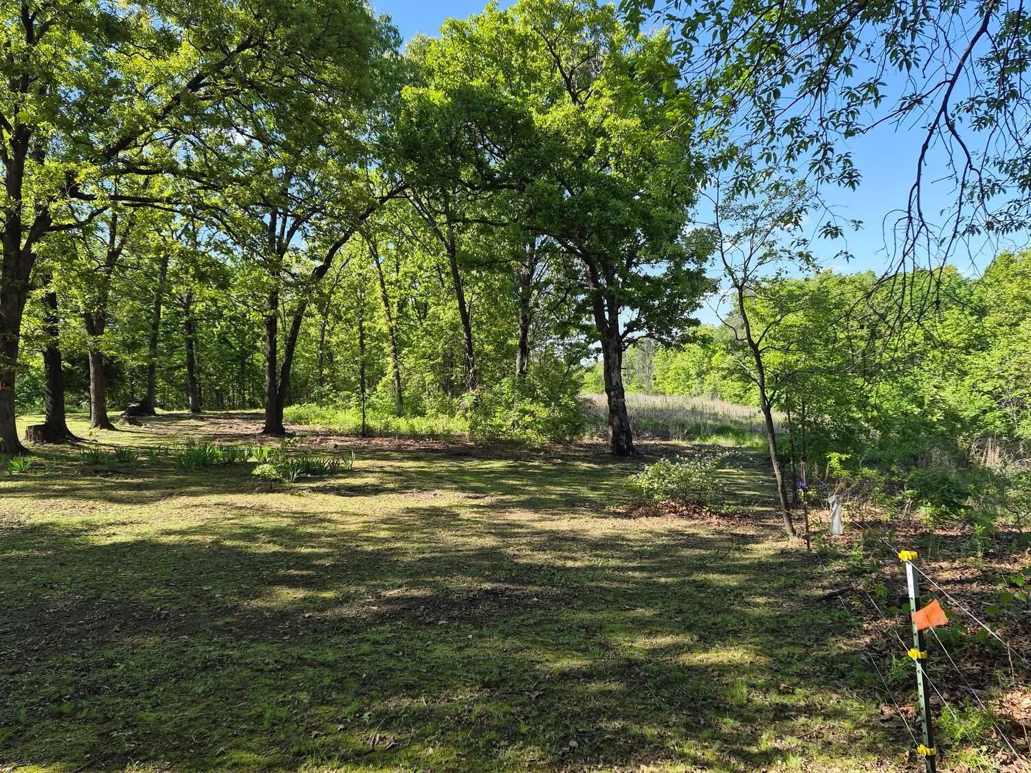 Photo 37 - Land for sale – 22805  Hwy Cc   Warsaw, MO