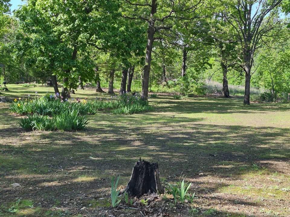 Photo 2 - Land for sale – 22805  Hwy Cc   Warsaw, MO