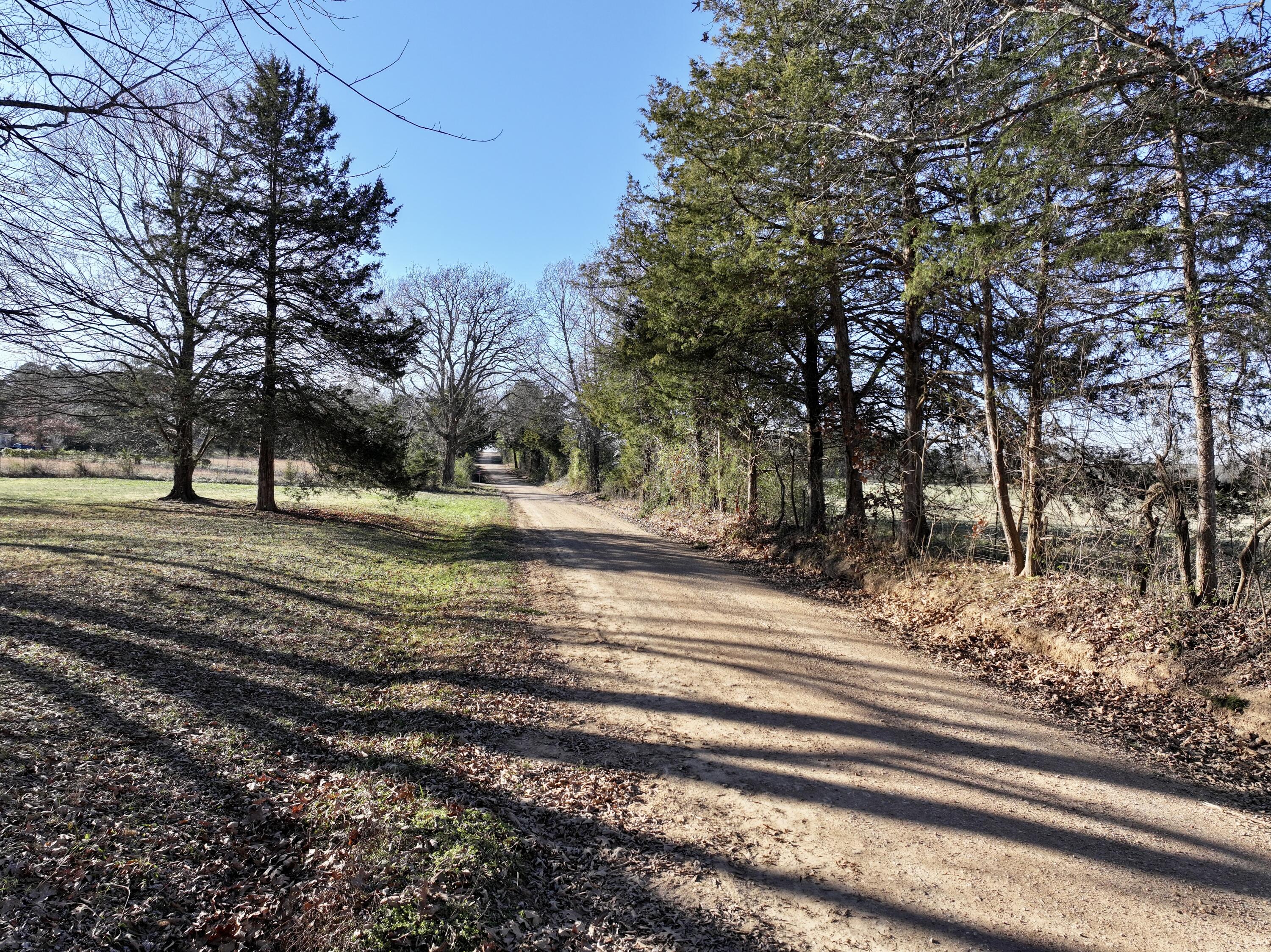 Photo 23 - Residential for sale – 1522  County Road 404   Alton, MO