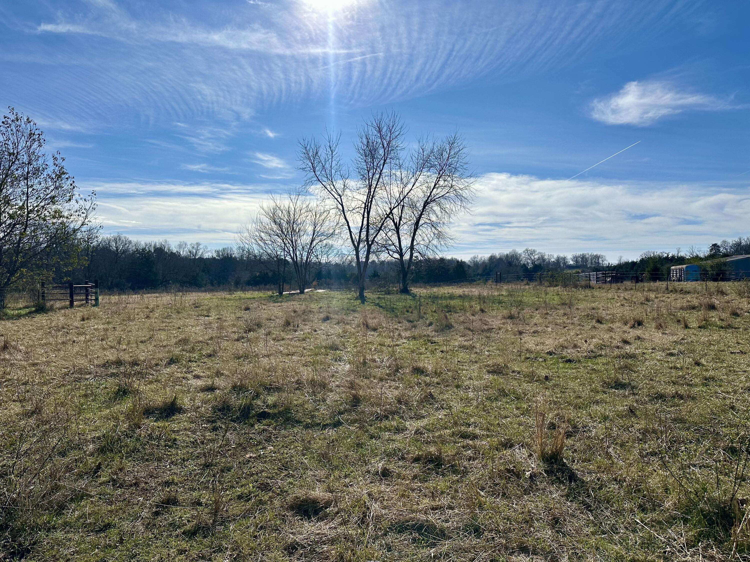 Photo 32 - Residential for sale – 1522  County Road 404   Alton, MO