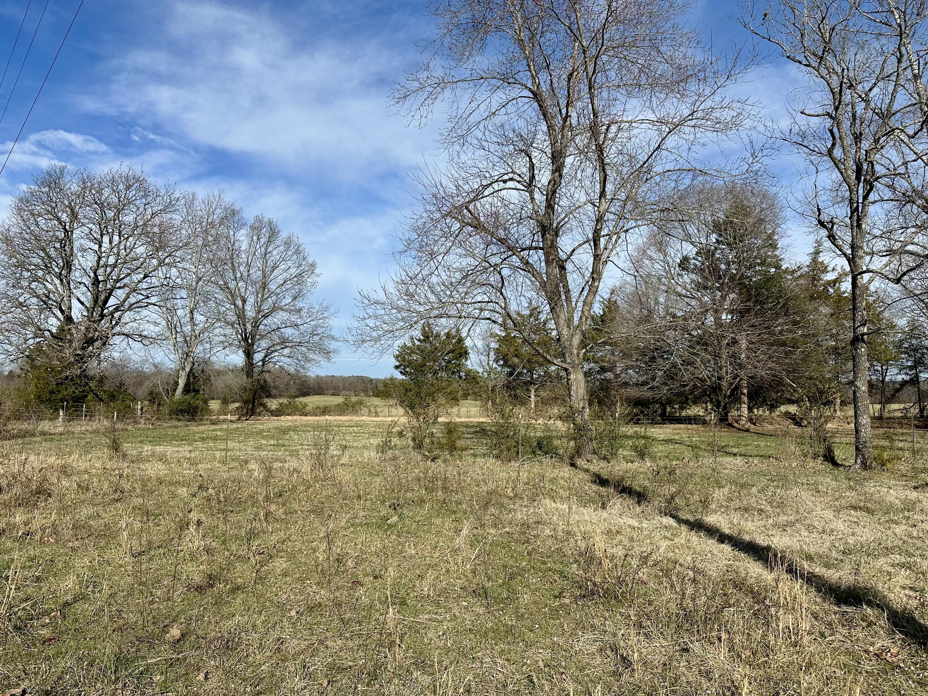 Photo 31 - Residential for sale – 1522  County Road 404   Alton, MO